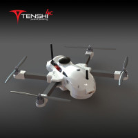Tenshi 4C Lighting Drone
